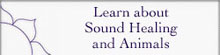 Learn about Sound healing and animals